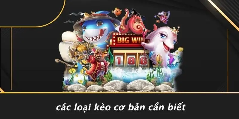 CÁCH ĐỌC KÈO BÓNG ĐÁ: BÍ KÍP THẦN TỐC DÀNH CHO DÂN CƯỢC MỚI 2 Các Loại Kèo Cơ Bản Cần Biết